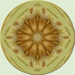melon 1